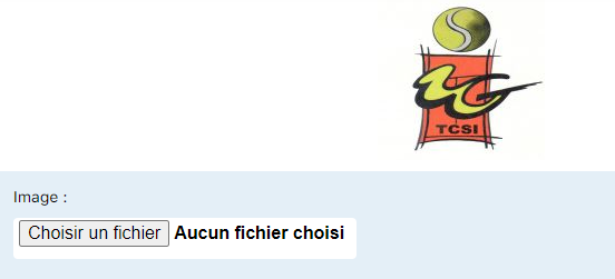 Téléchargement du logo